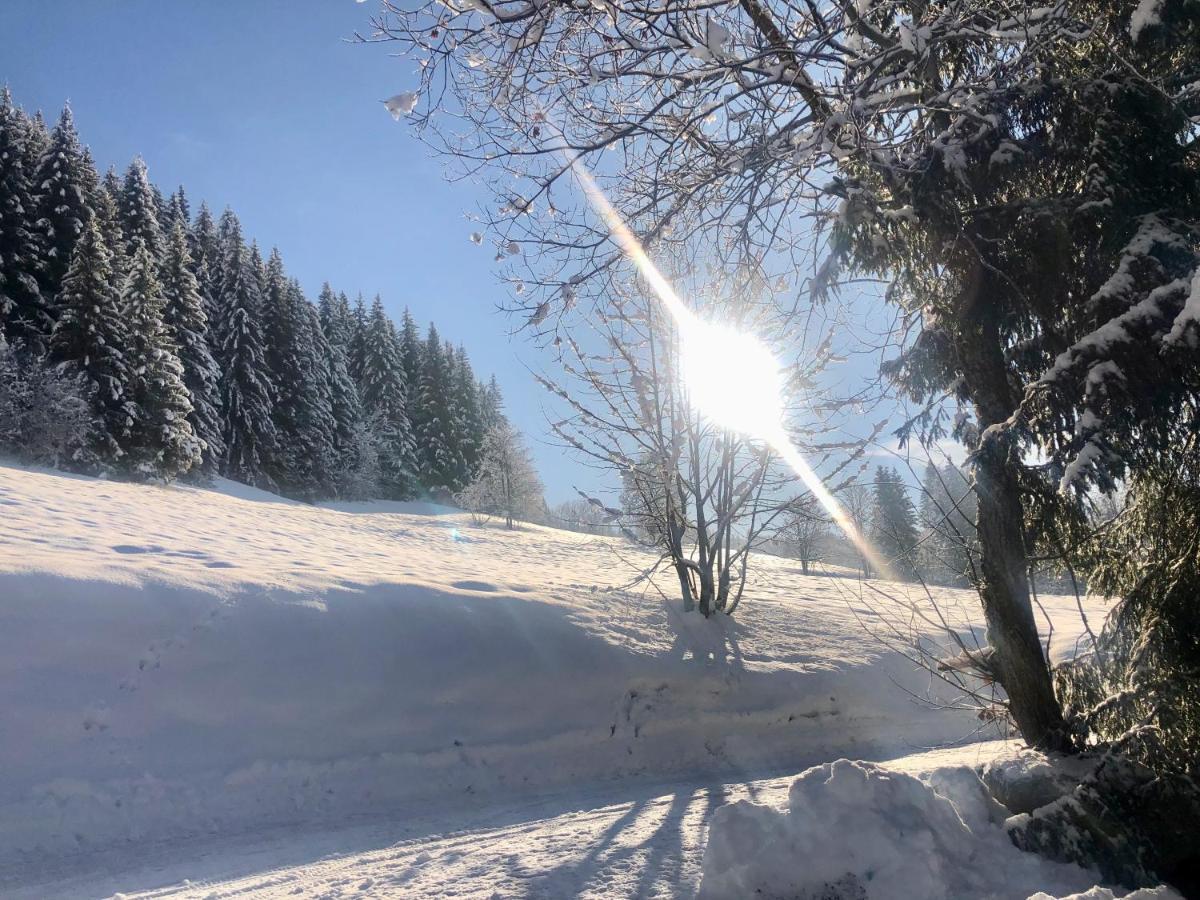 Le Chalet De Nabor Les Gets Eksteriør bilde